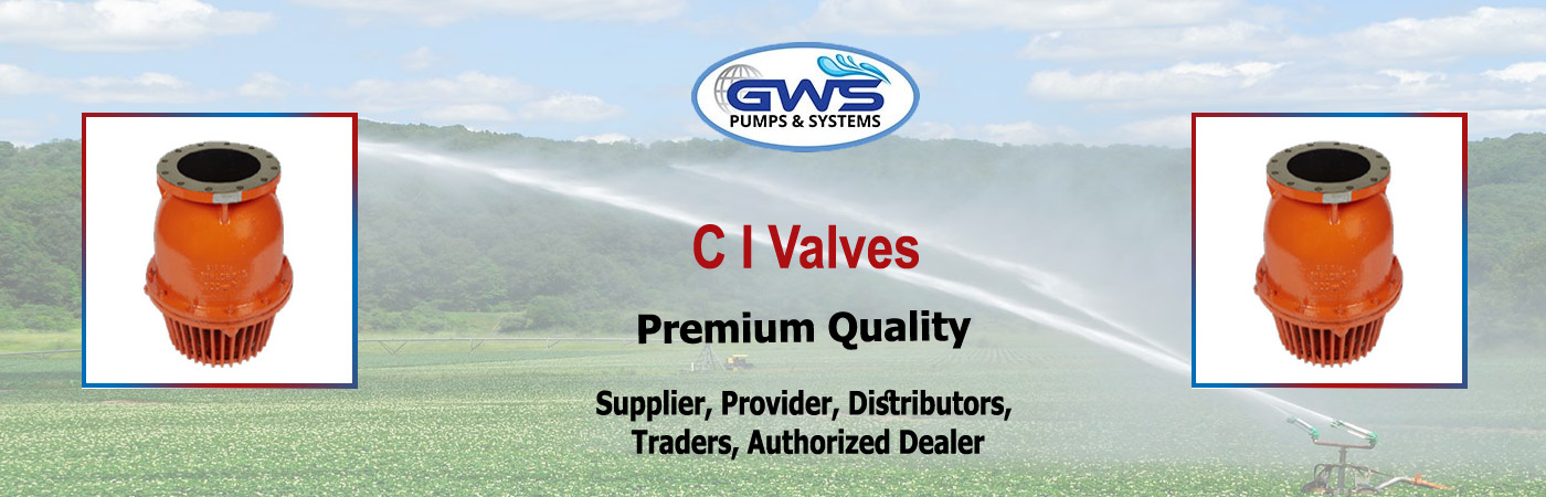 C I valves