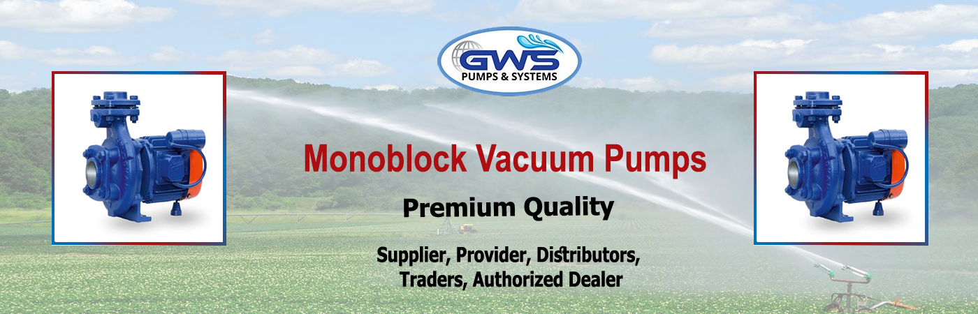 monoblock vacuum pumps Supplier