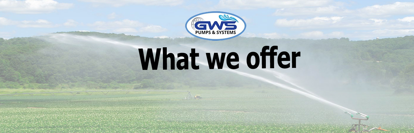 What We Offer