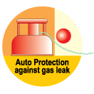 Auto Protection